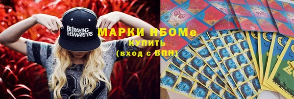 прущие грибы Аркадак