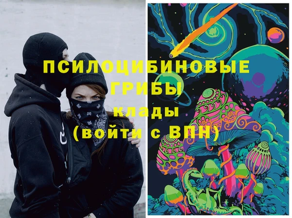 прущие грибы Аркадак