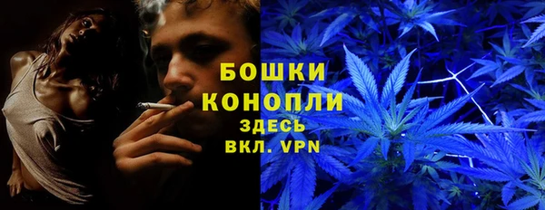 сатива Алзамай