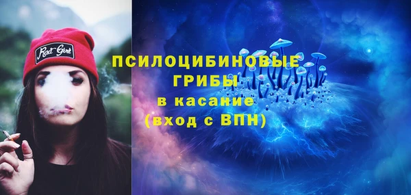 мяу мяу мука Арсеньев