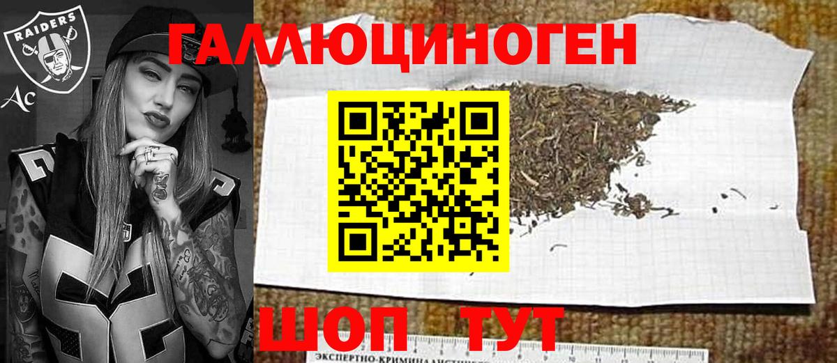 Галлюциногенные грибы Psilocybe Омск