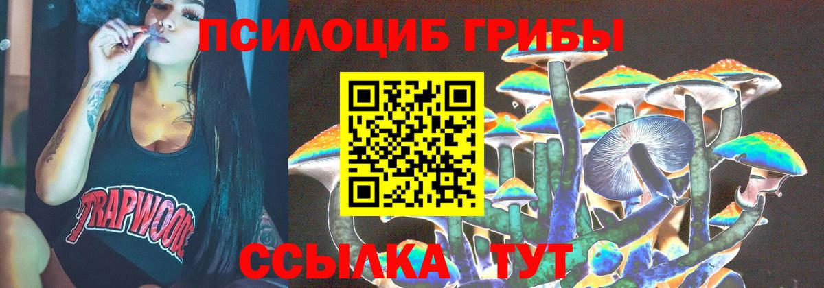 где найти   Омск  Галлюциногенные грибы Psilocybe 